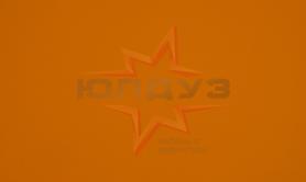 ARPA пласт. 0699-LU. Оранжевые Бархатцы глянец PF, 3050х1300х0,6мм, Италия
